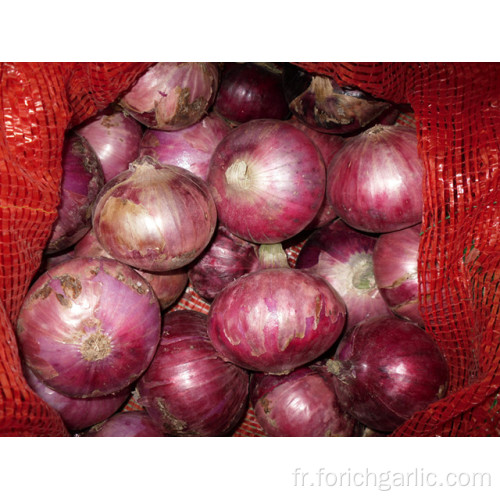 Oignon Rouge Frais De Haute Qualité